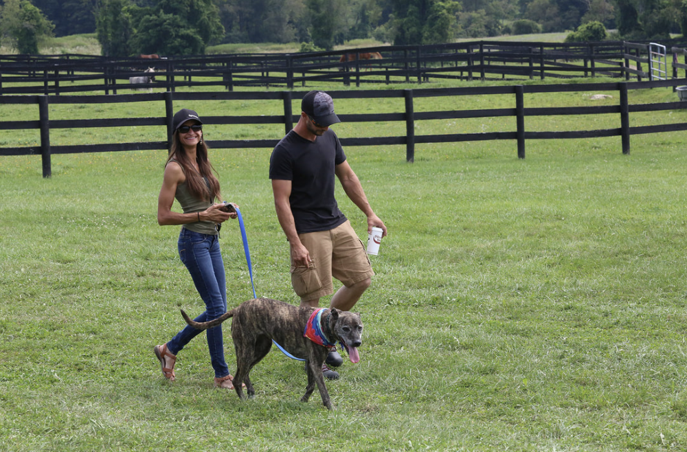 Millbrook Horse trials 